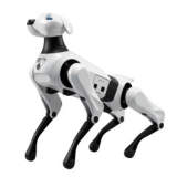 AiMOGA Argos Review: Quadruped Robot Dog for Events, Patrol & Commercial Service